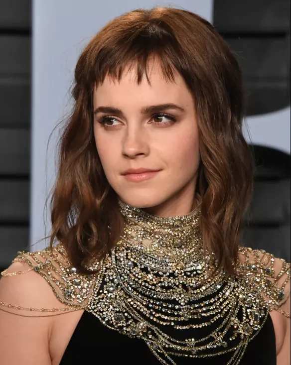 Updated Layered Shag