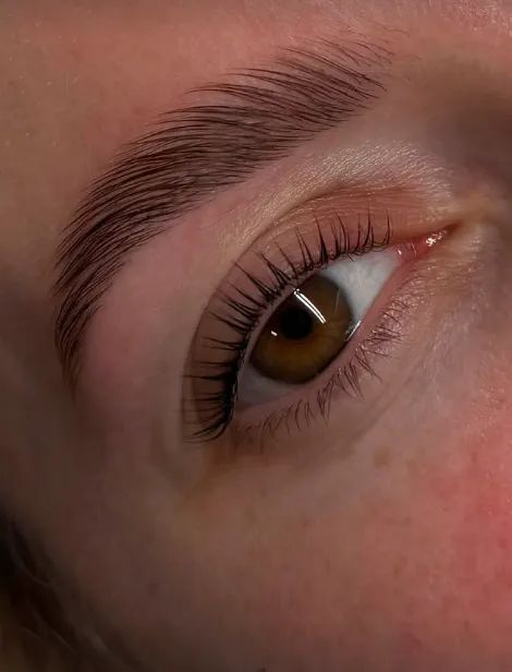 brow lamination at salon - photo result
